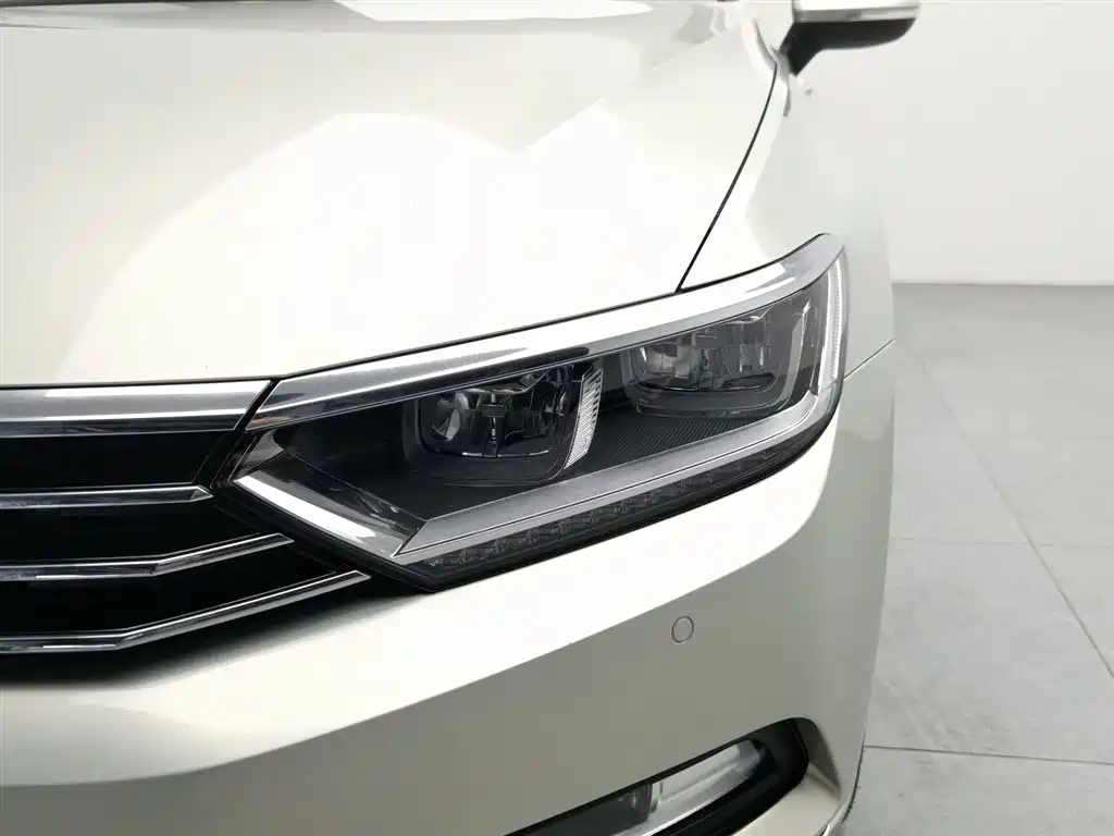 Volkswagen Magotan 2019 330TSI DSG Luxury VI