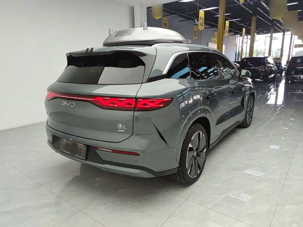 BYD Дон Л. — миниатюра 7