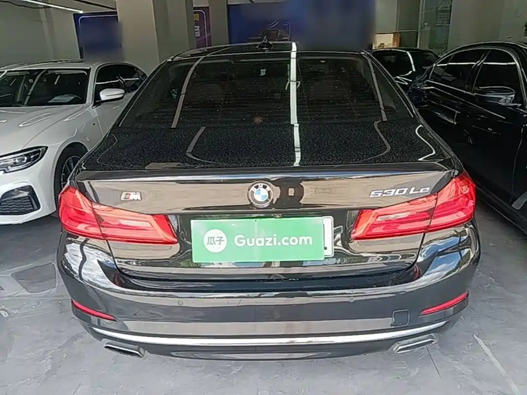 BMW 5 Series 5 2019 530Le