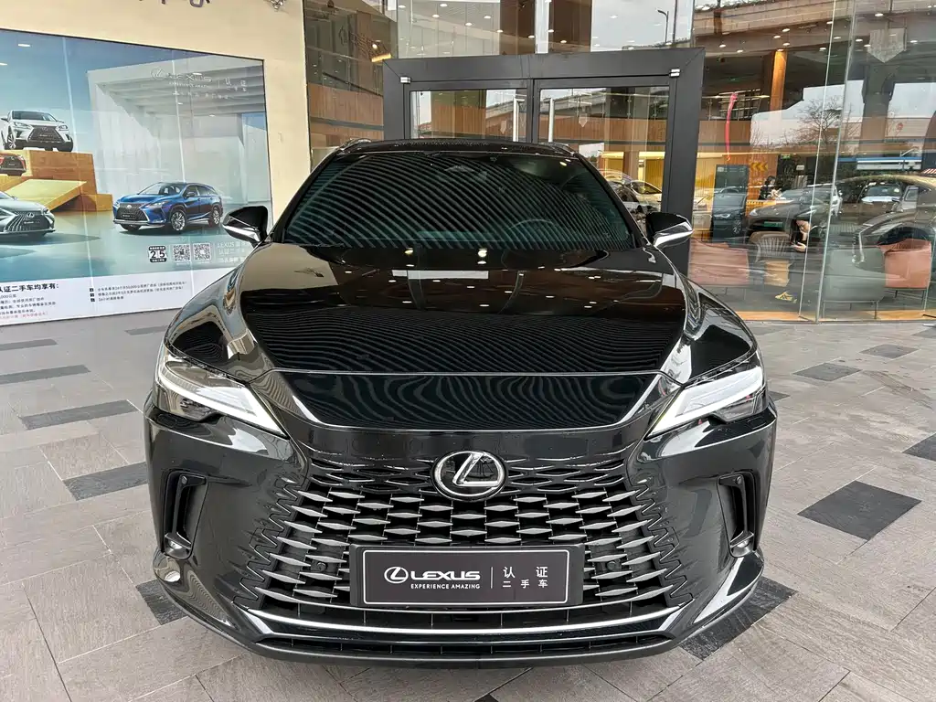 LEXUS RX NEW ENERGY