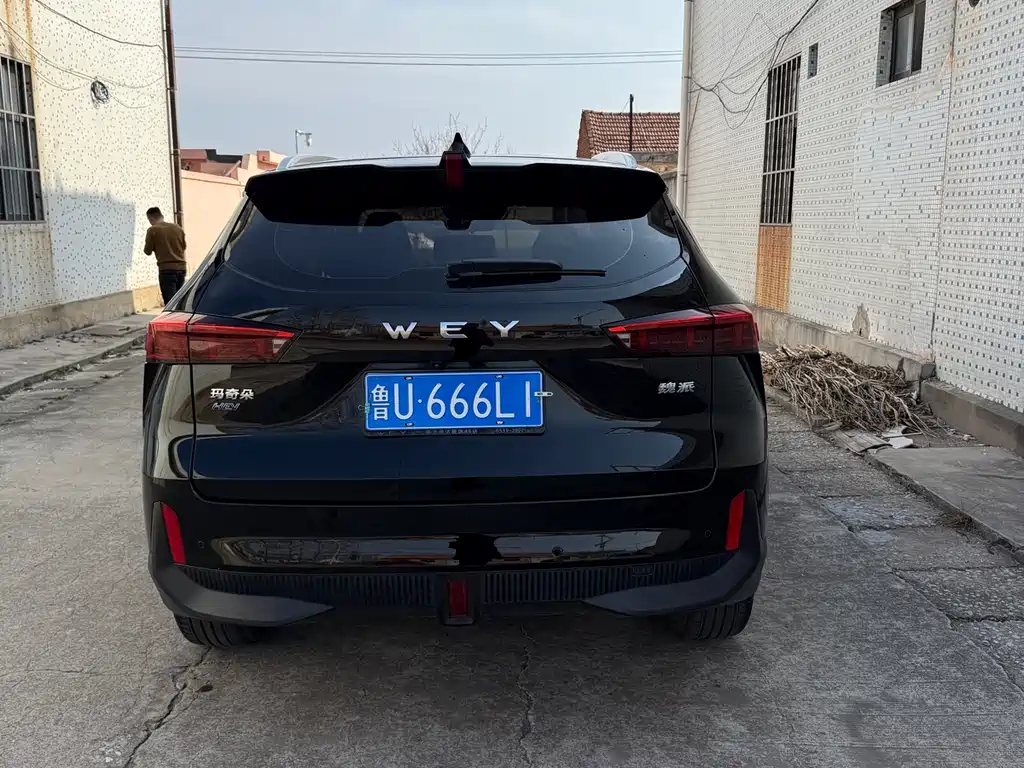 WEI PAI MACCHIATO DHT