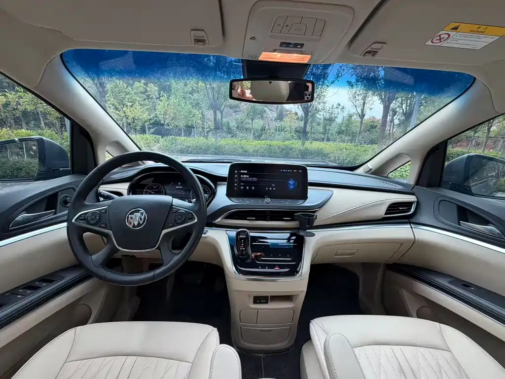 Buick GL8 — миниатюра 8
