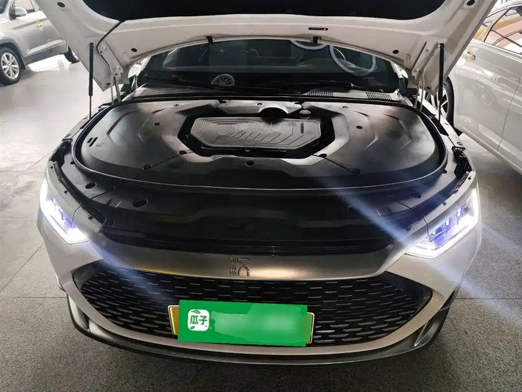 BYD Han - фото 20