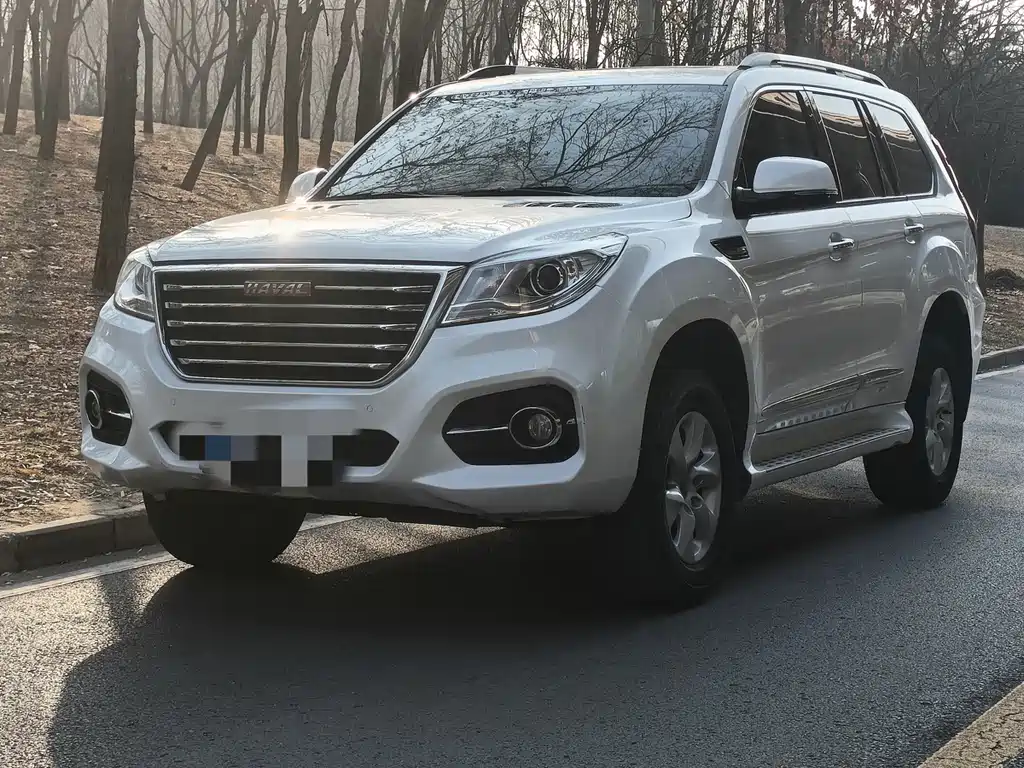 HAVAL H9