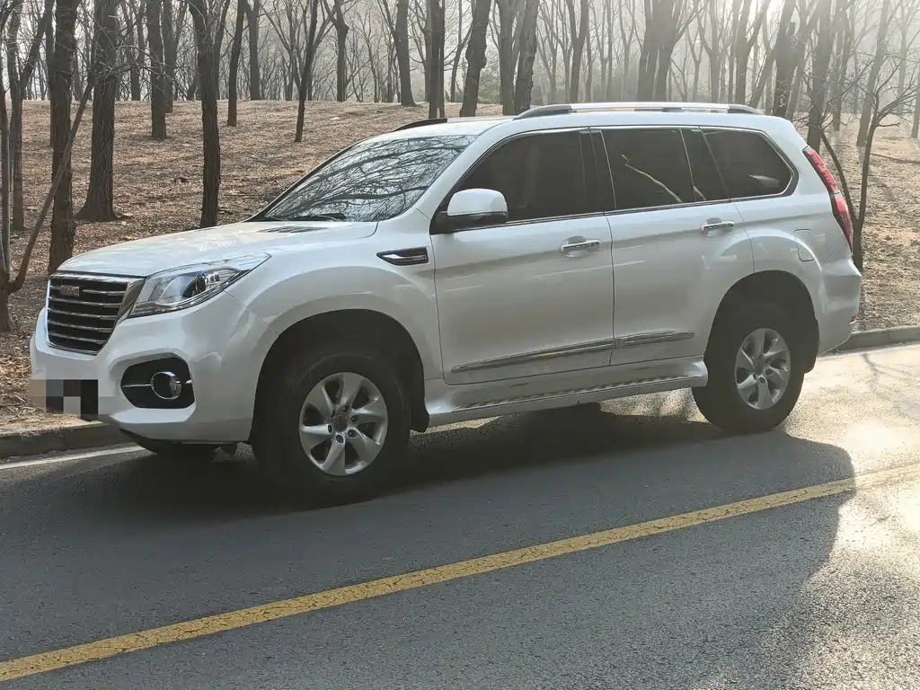 HAVAL H9