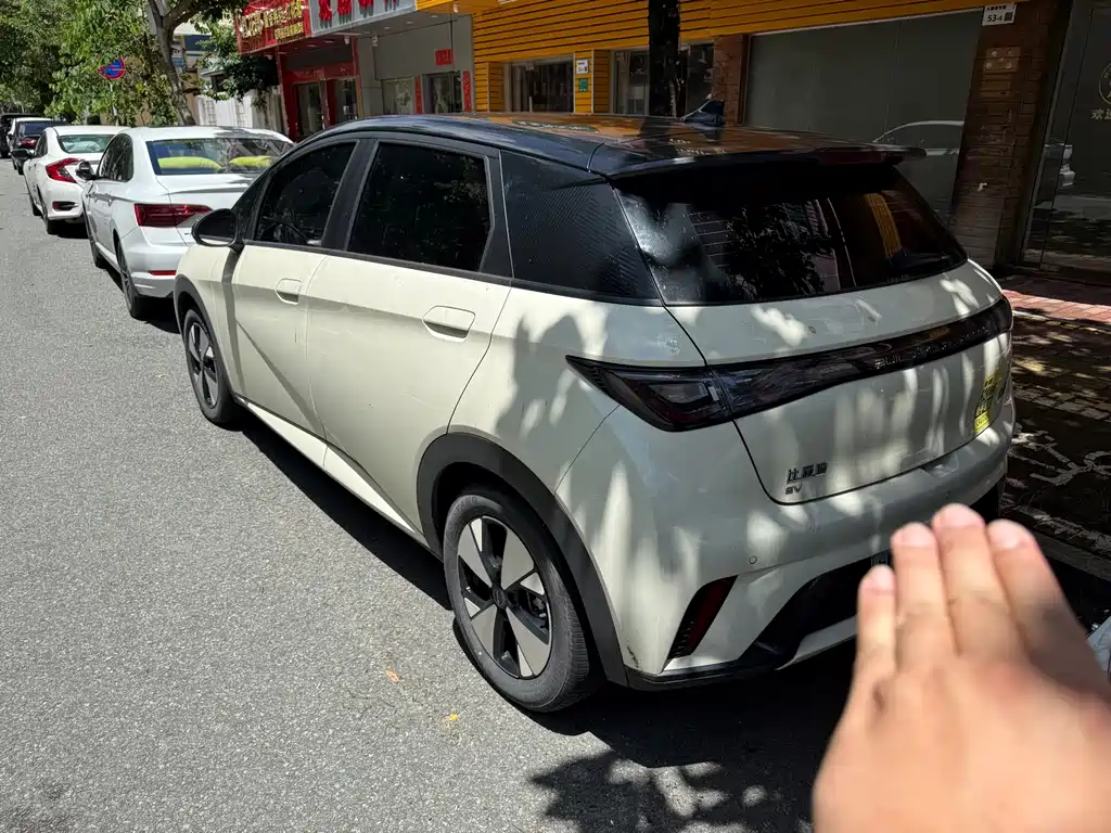 BYD Dolphin 2024 420km Fashion
