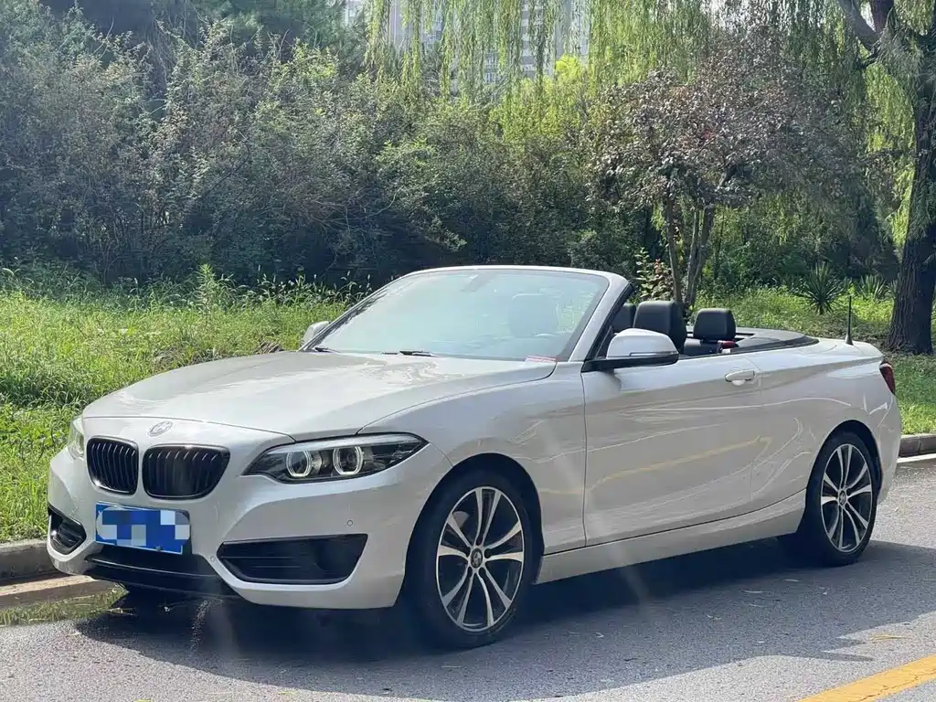 BMW 2 Series (Import) 2021