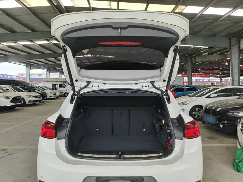 BMW X2 (Import) — миниатюра 19