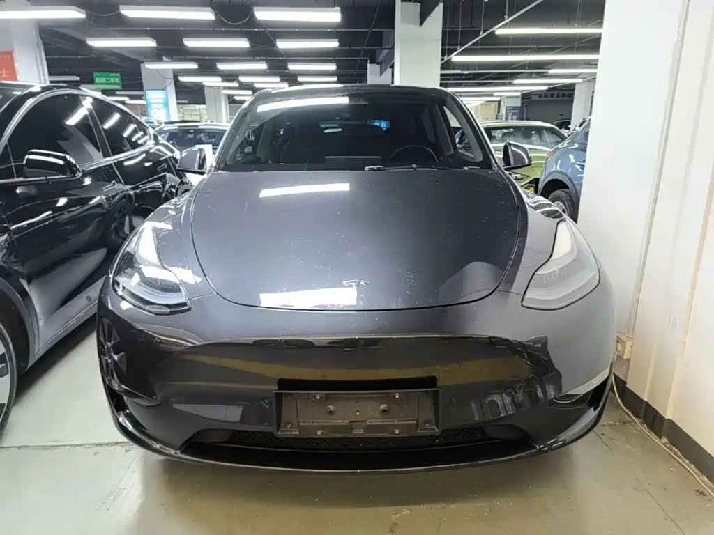 Tesla Model Y — миниатюра 3