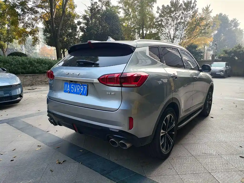 WEI PAI WEI BRAND VV6