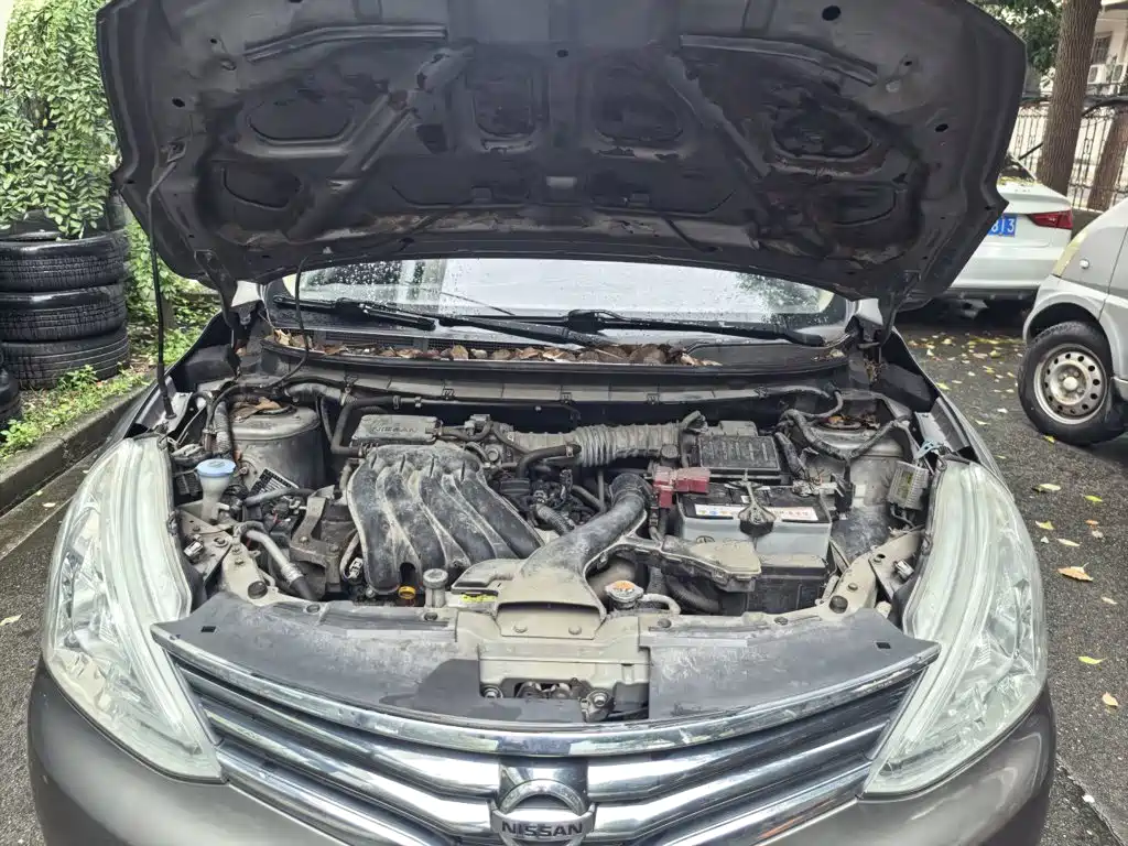Nissan Livina — миниатюра 15