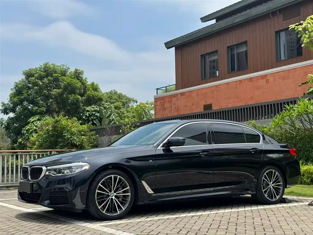 BMW 5 Series 5 2020 530Li Premium M Sport