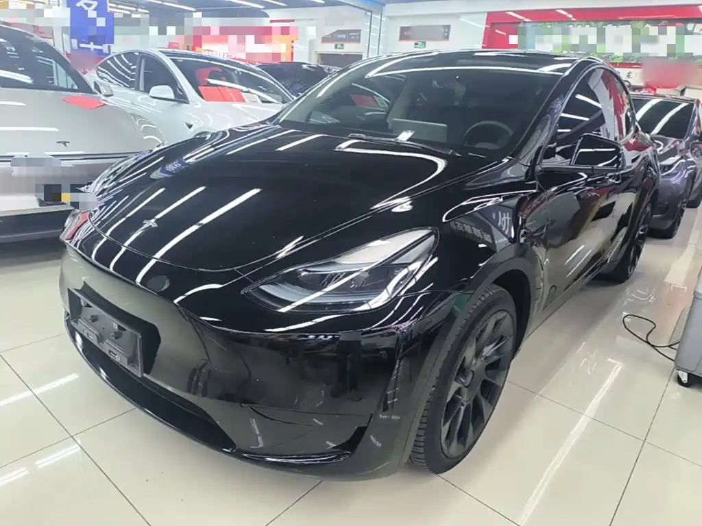 Tesla Model Y — миниатюра 2