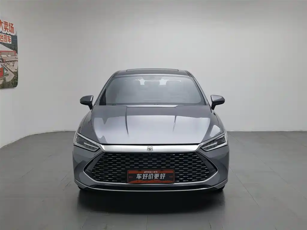 BYD Qin Plus PLUS 2023 Champion DM-i 120KM Lead