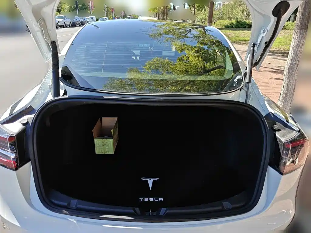 Tesla Model 3 — миниатюра 20