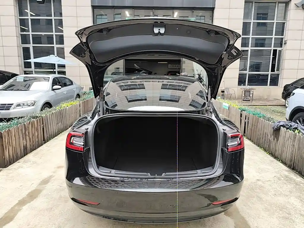 Tesla Model 3 — миниатюра 19