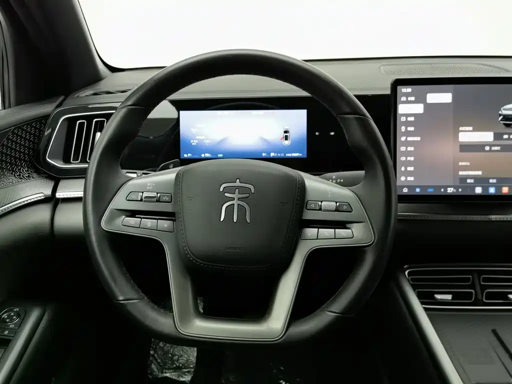 BYD Pro New Energy — миниатюра 11