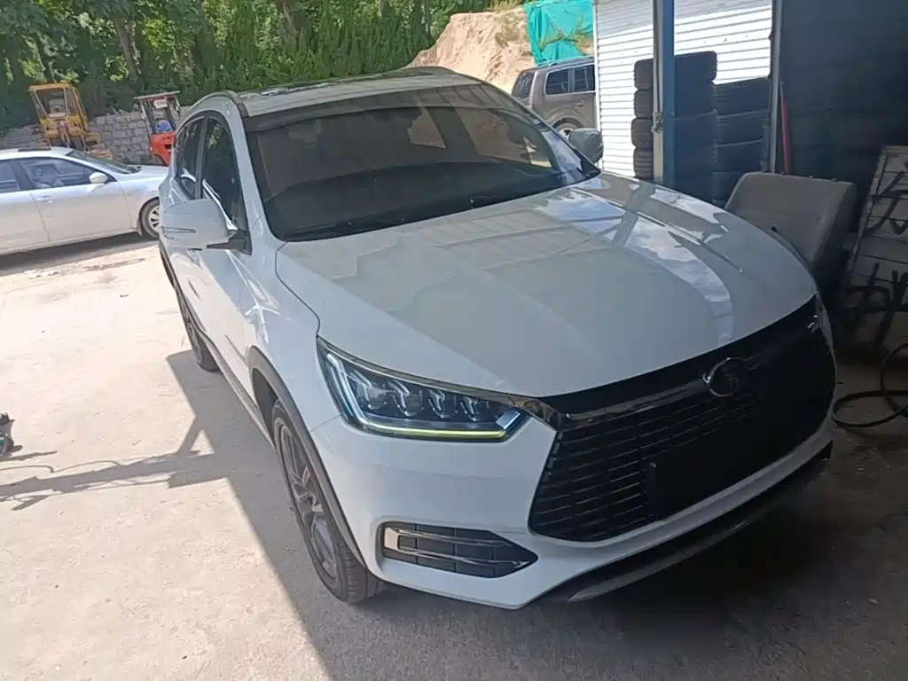 BYD New Energy — миниатюра 4