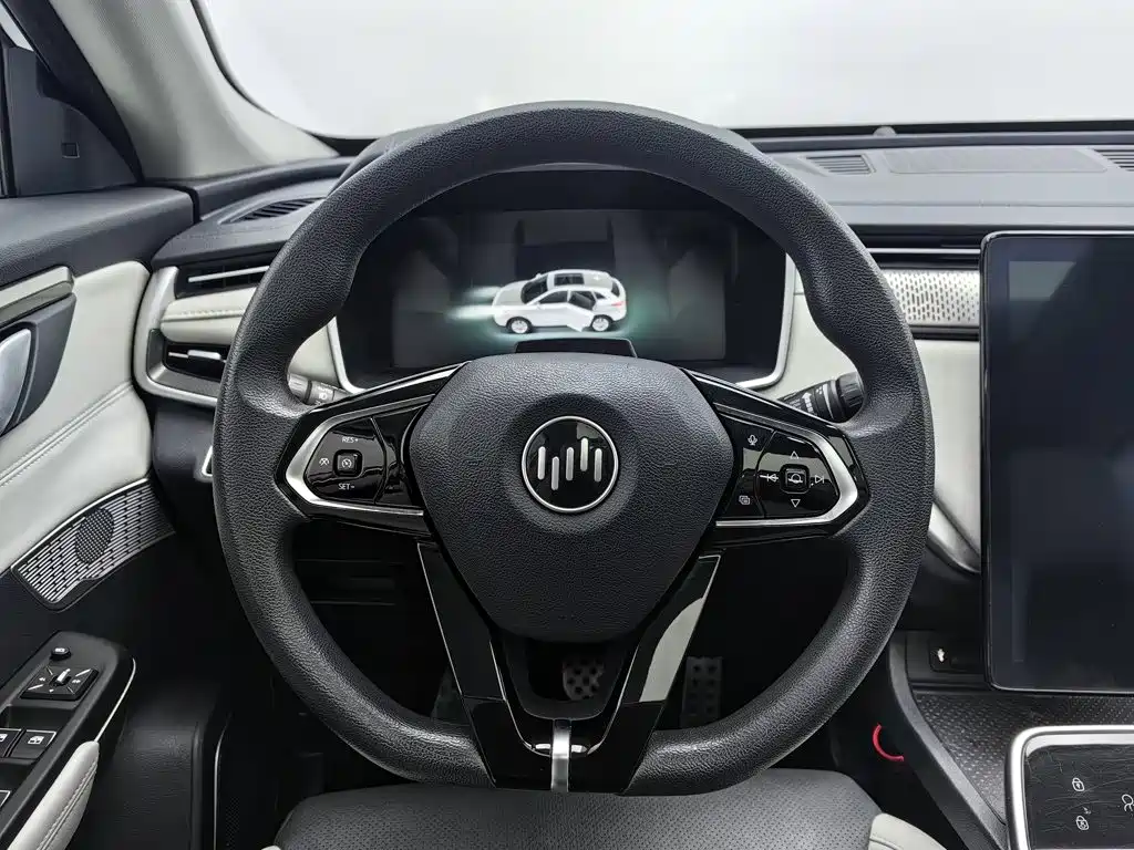 WM Motor EX5 — миниатюра 11