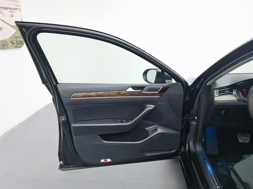 Volkswagen Magotan 2019 330TSI DSG Lead V