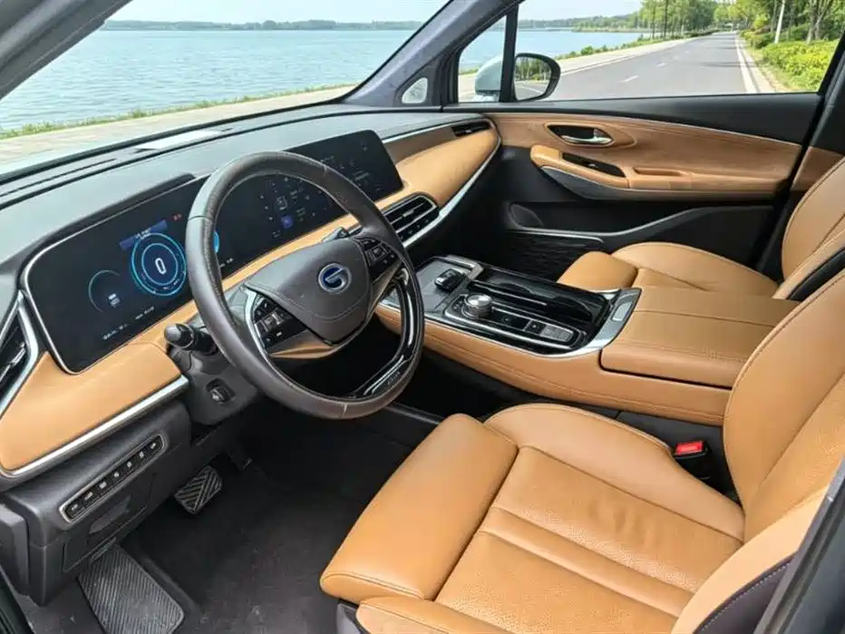 Aion LX 2019 80