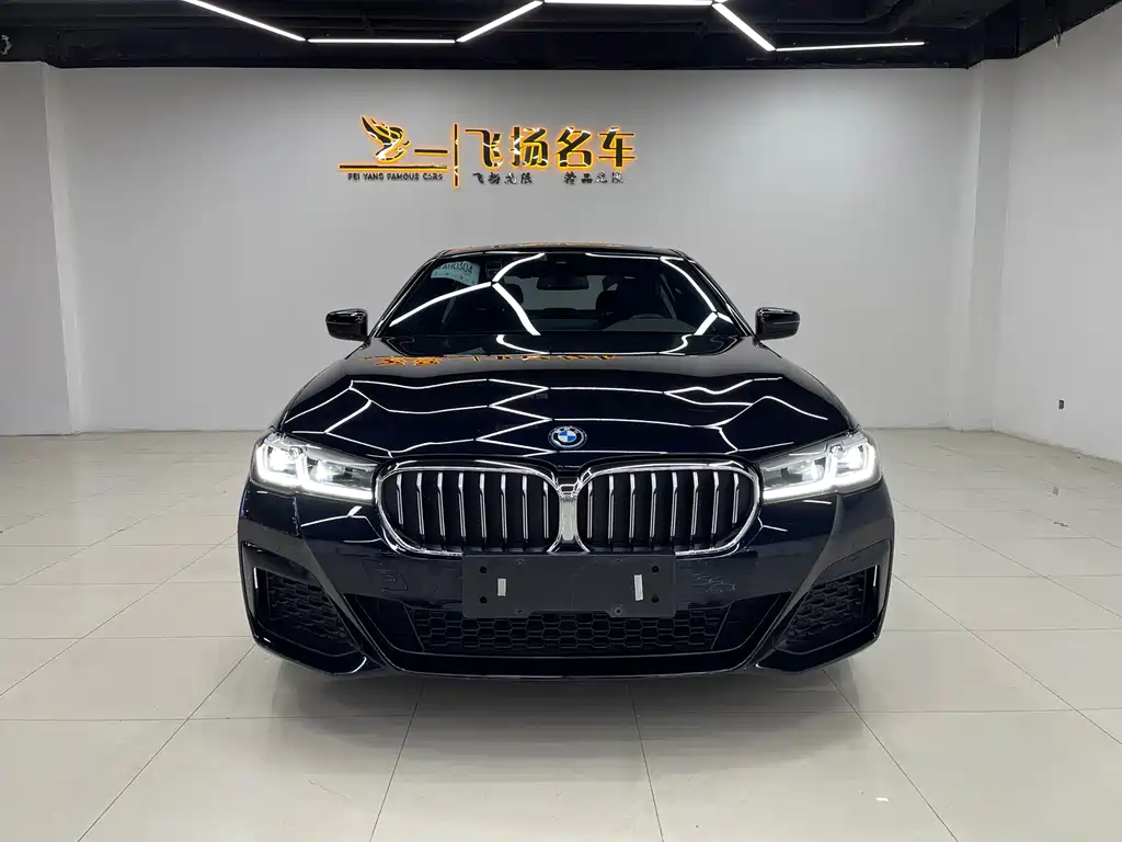 BMW 5 SERIES NEW ENERGY