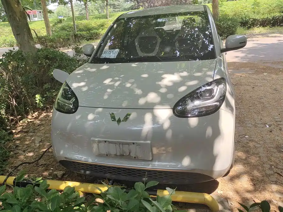 Wuling Binguo 2023 203km