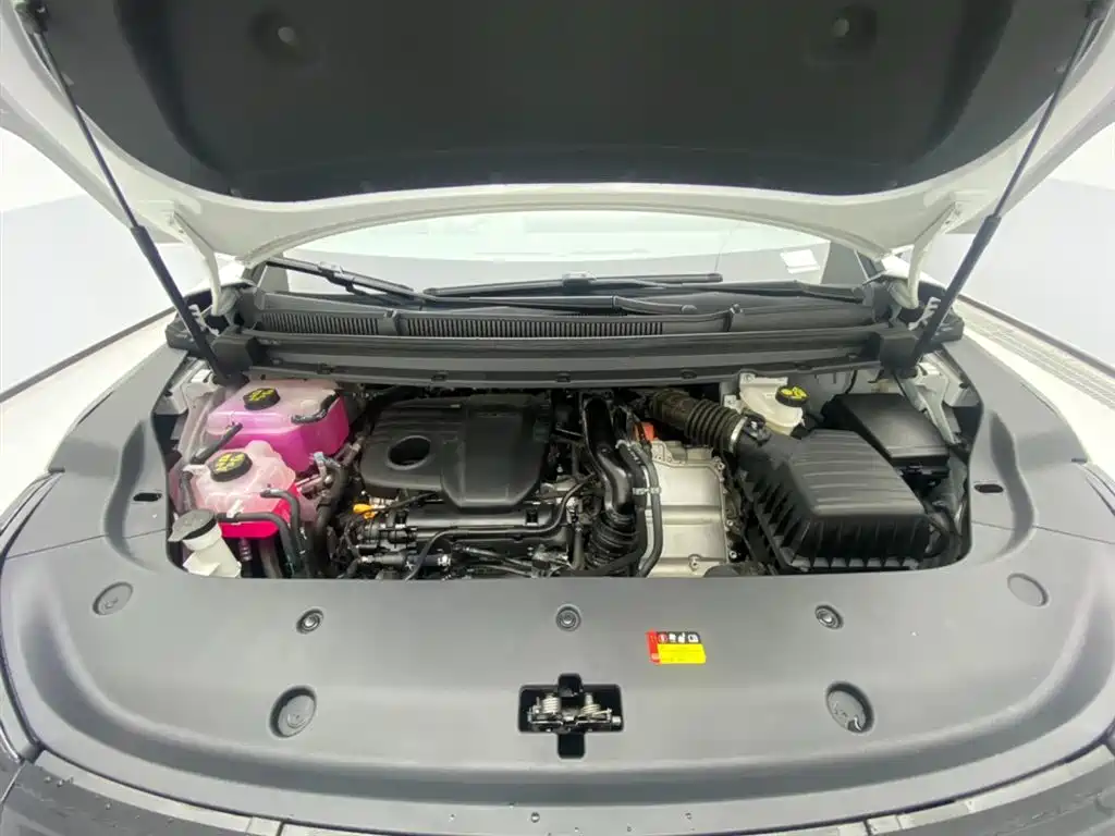 SAIC MAXUS EVERYONE 7