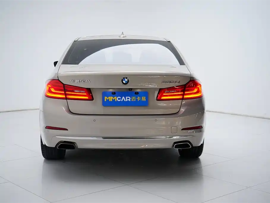 BMW 5 Series 5 2019 530Li Premium Luxury