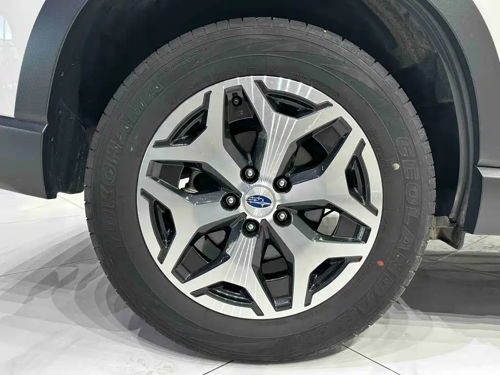 Subaru Forester — миниатюра 19