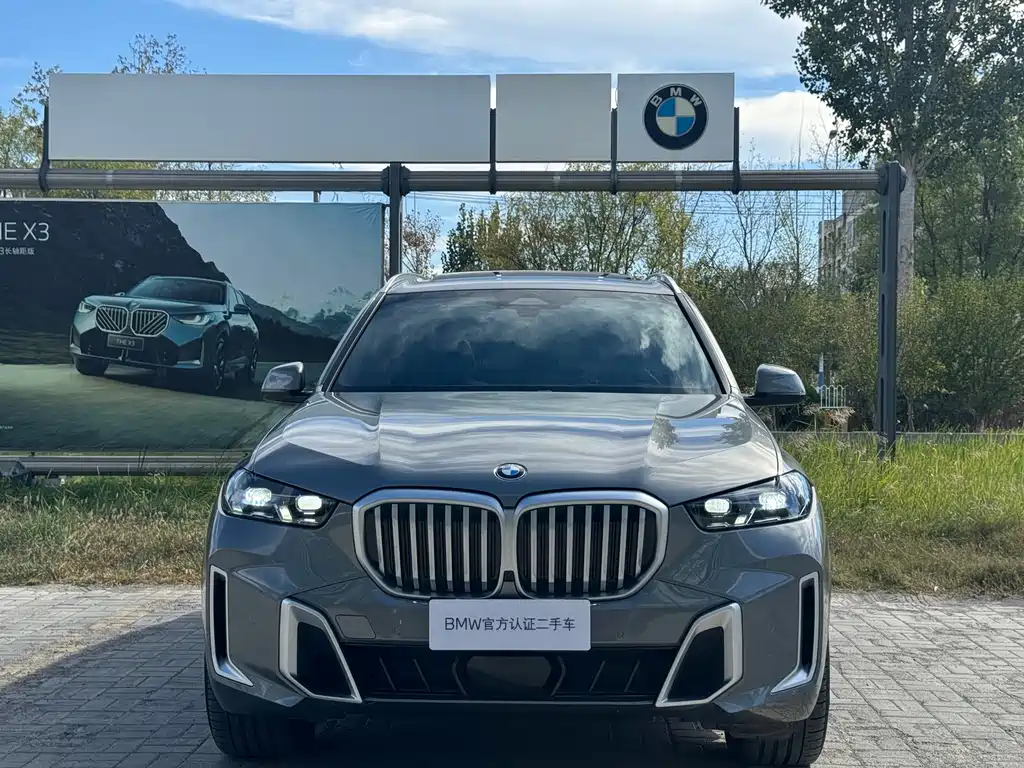 BMW X5 — миниатюра 3