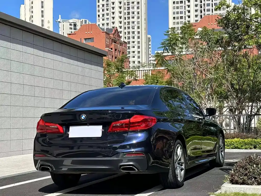 BMW 5 Series 5 2019 525Li M Sport