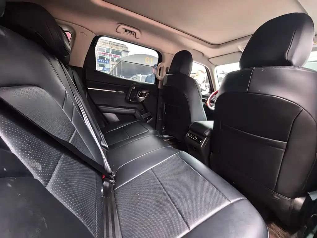 Haval Big Dog PLUS New Energy — миниатюра 6