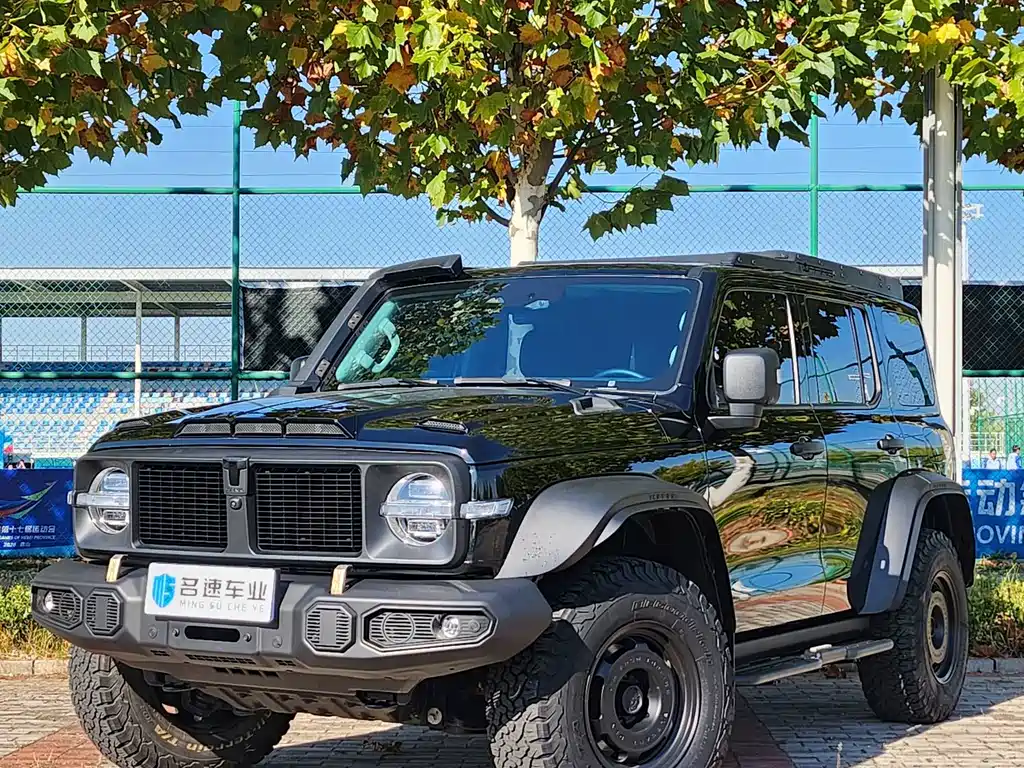 Tank 300