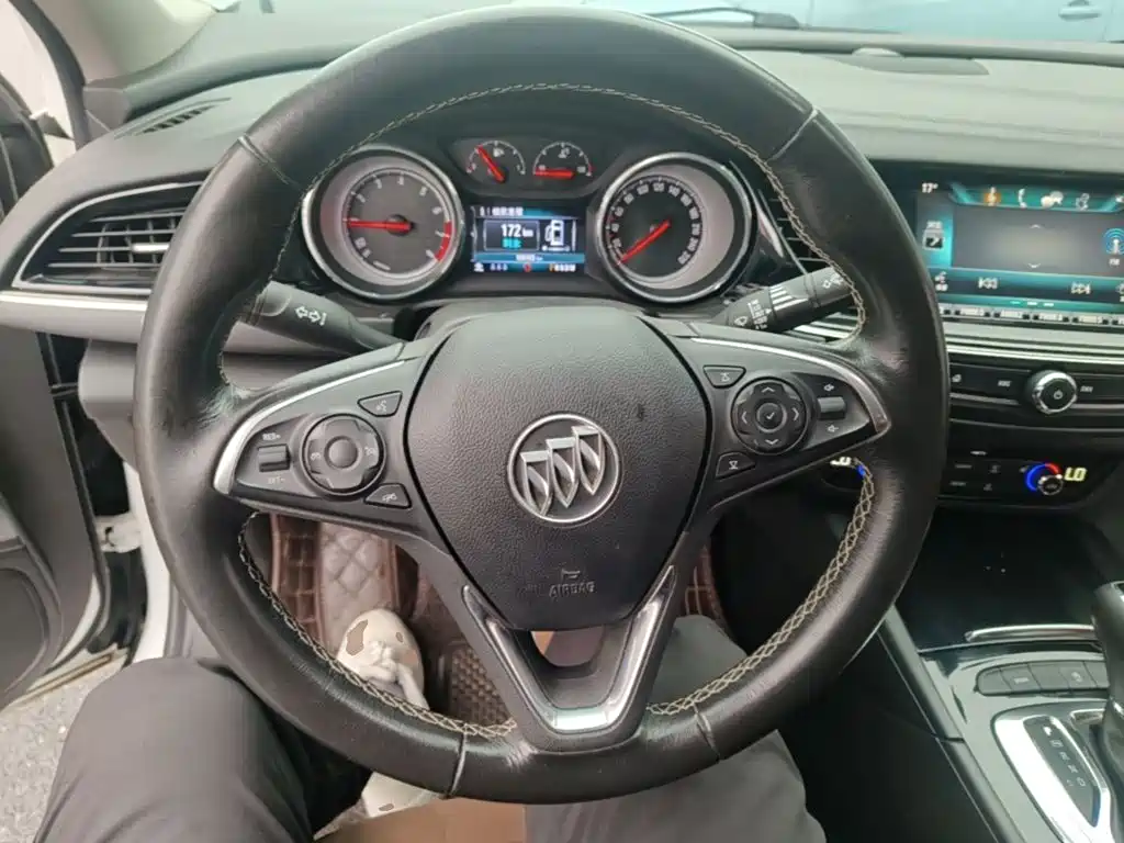 Buick Regal — миниатюра 11