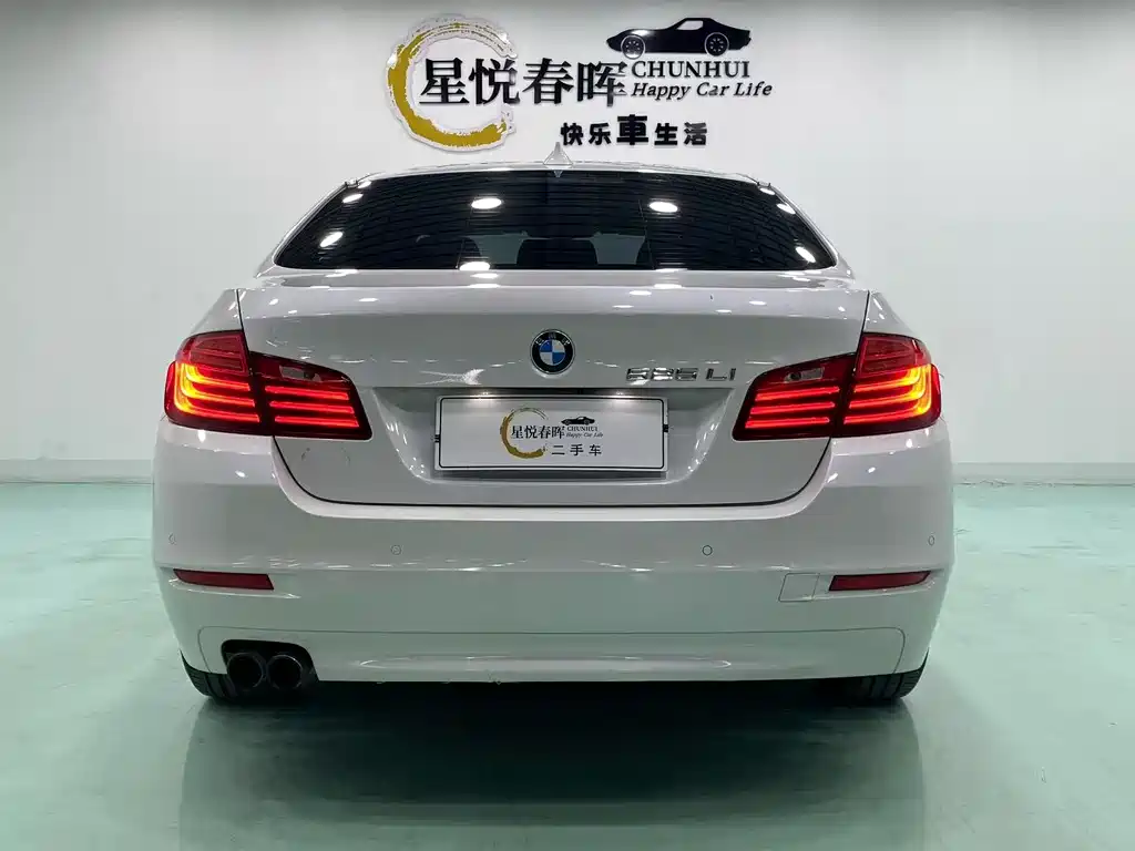 BMW 5 Series 5 2014 525Li Lead