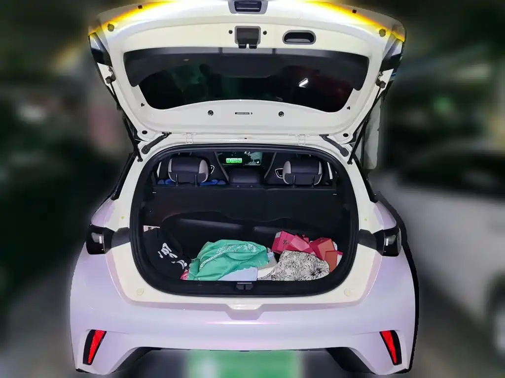 BYD Dolphin — миниатюра 20
