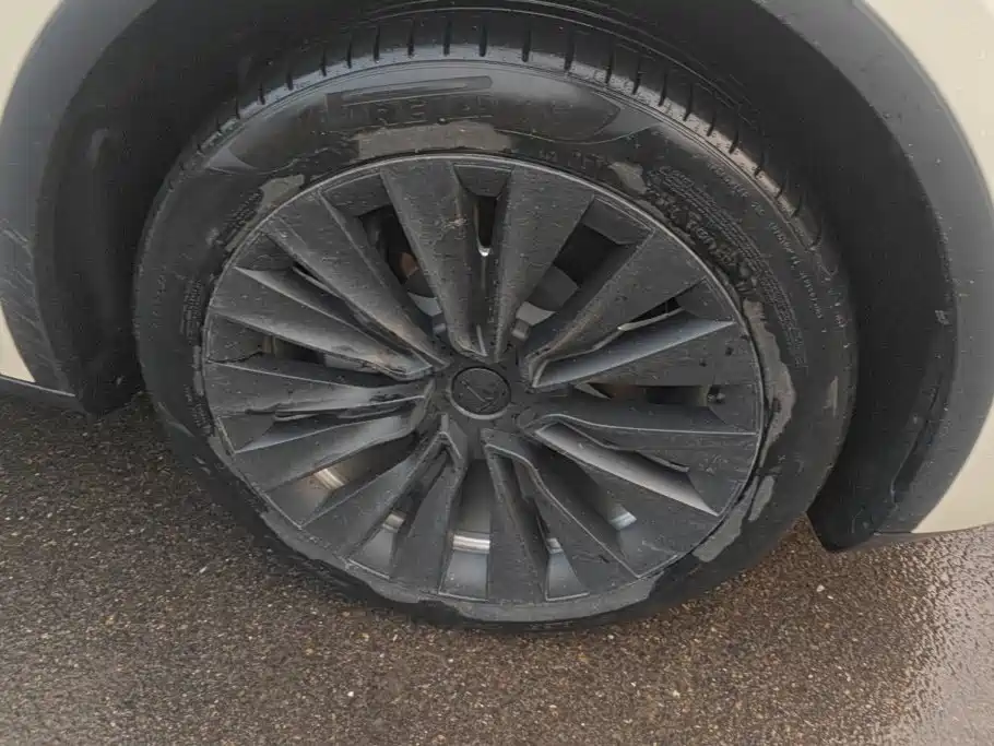Tesla Model Y — миниатюра 6