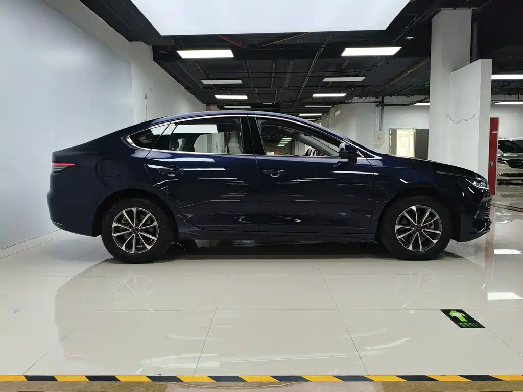 BYD Destroyer 05 2024 DM-i 55KM Luxury