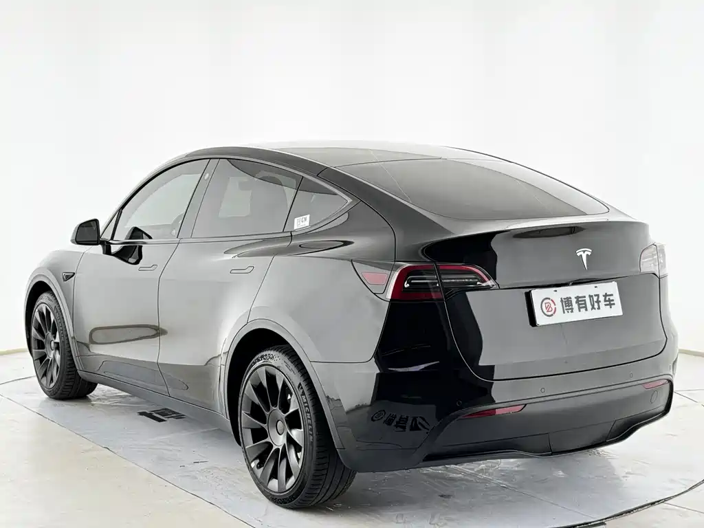 Tesla Model Y — миниатюра 11