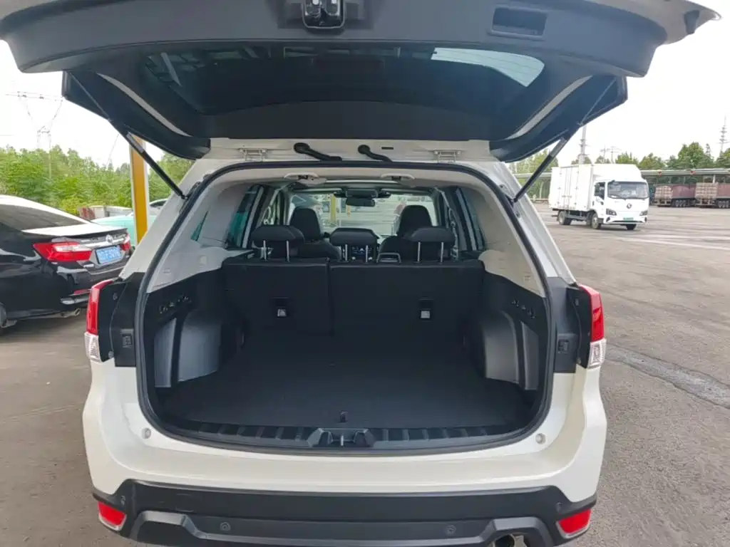 Subaru Forester — миниатюра 19