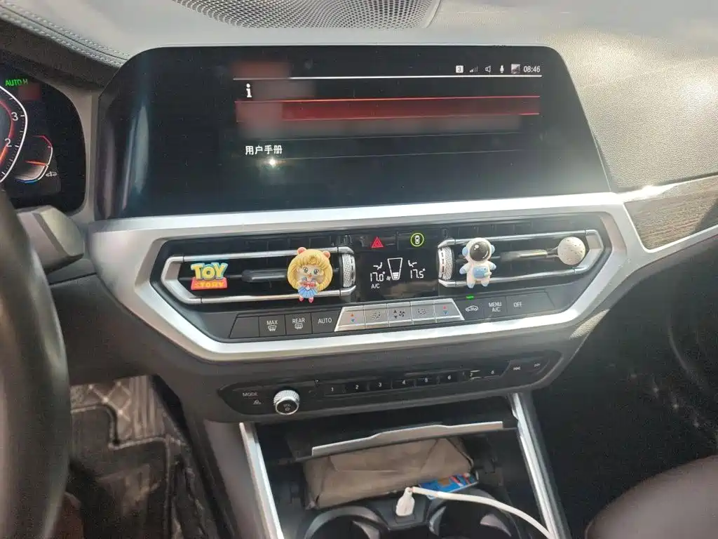BMW 3 Series 3 2020 325Li M Sport