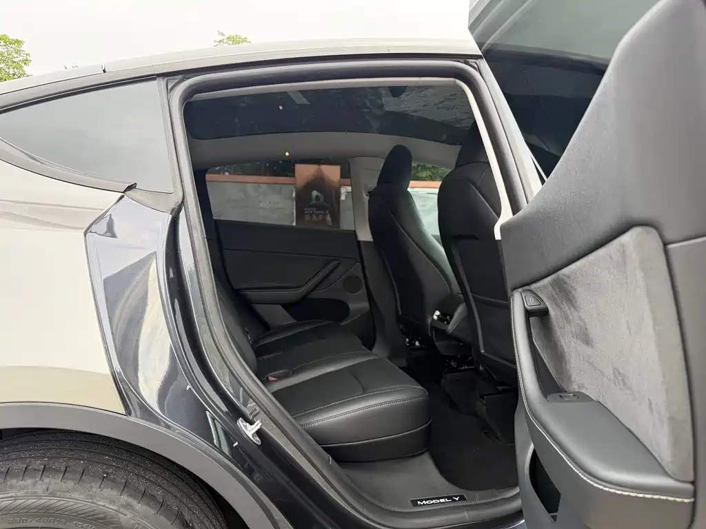 Tesla Model Y — миниатюра 15