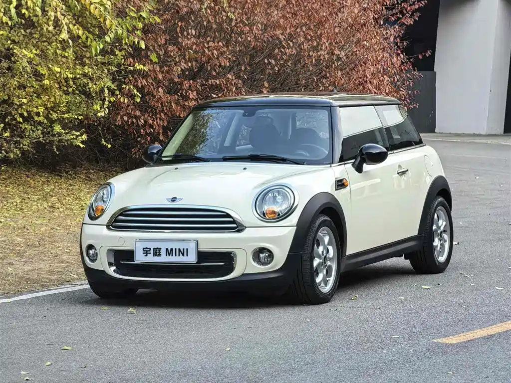 Mini Mini 2013