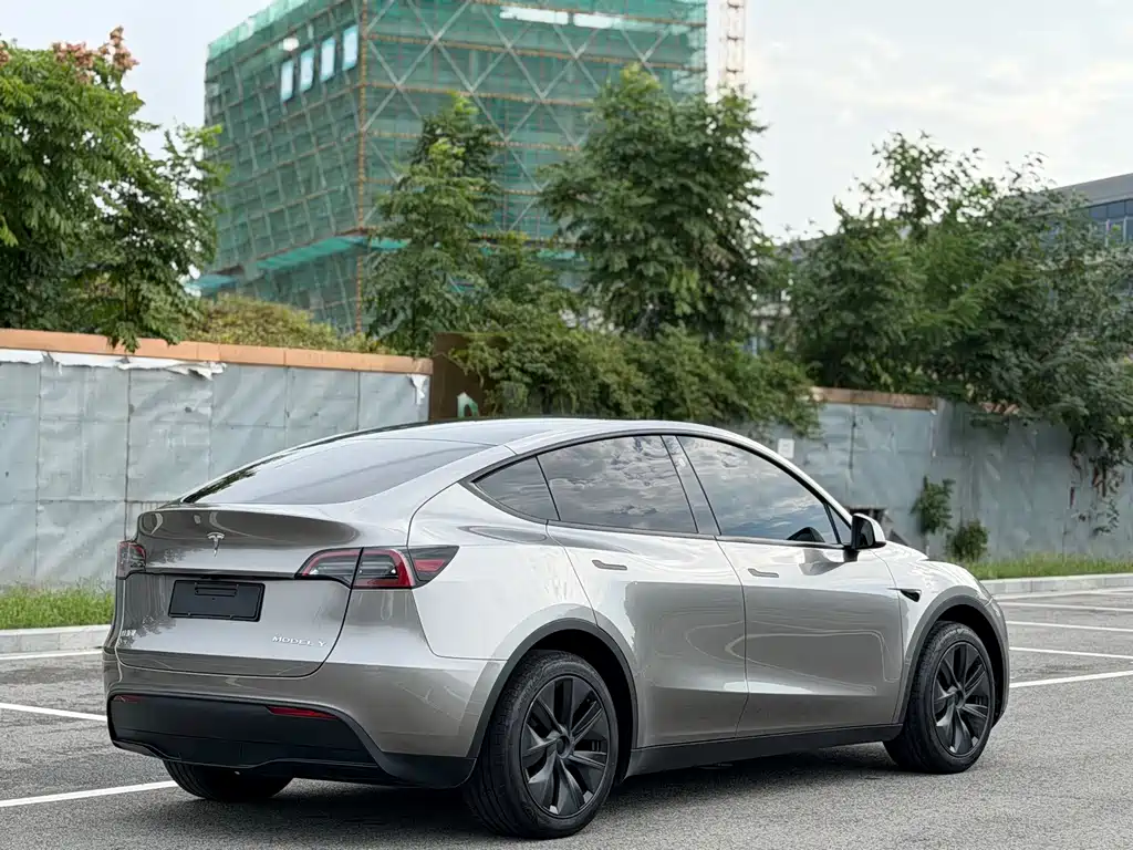 Tesla Model Y — миниатюра 19