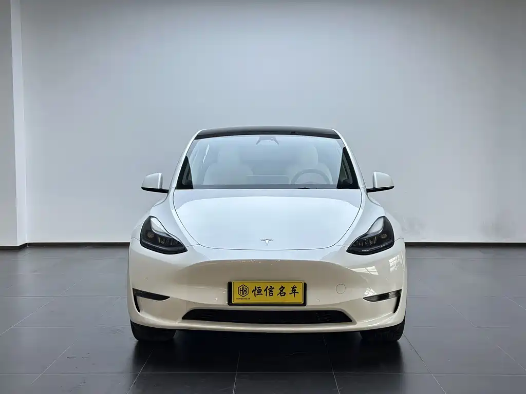 Tesla Model Y — миниатюра 2