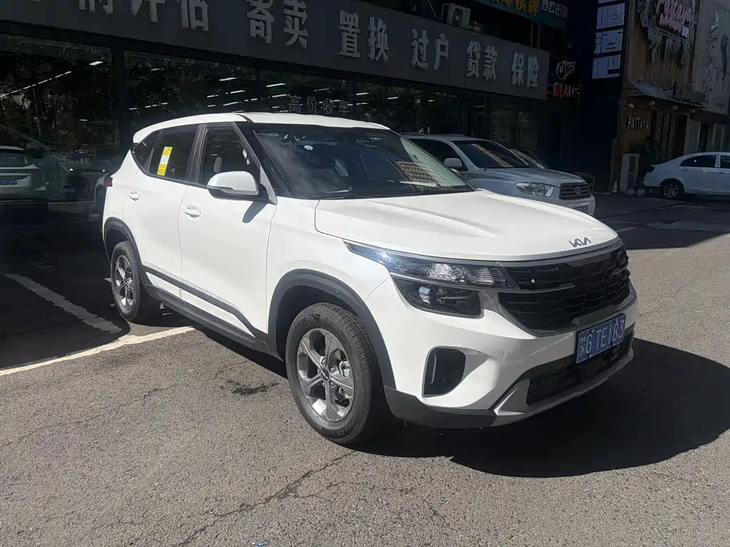 Kia Seltos — миниатюра 3