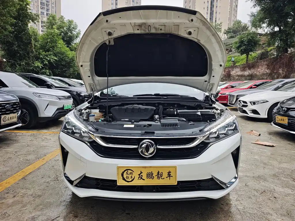 Aeolus Yixuan — миниатюра 4