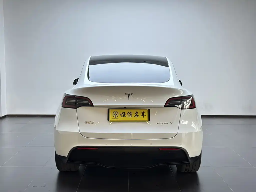 Tesla Model Y — миниатюра 4