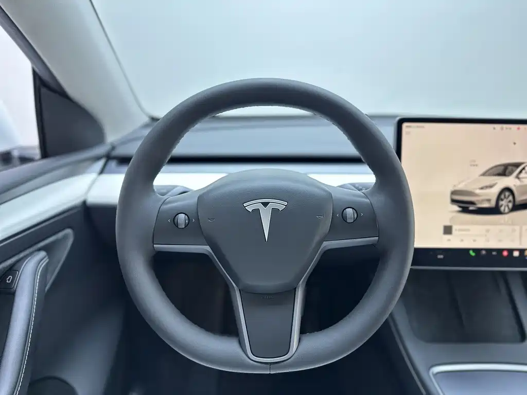 Tesla Model Y — миниатюра 22